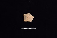 藏品(陶片)的圖片